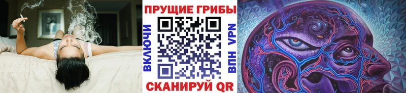 Псилоцибиновые грибы мицелий  Купить где  Северск 